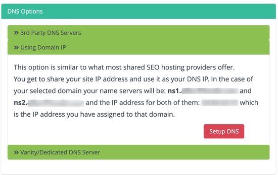 خادم DNS وهمي - نفس IP